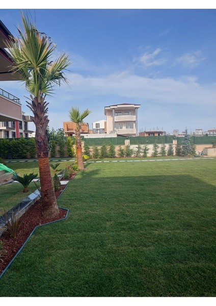 Pratik Garden Yeşil Strong Sert Çim Ayırıcı 10 Mt(4*2,5 Mt) Sınırlayıcı Ayıracı Taş Toprak Bariyer