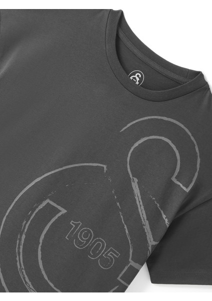 Galatasaray Çocuk T-Shirt C251058 indirimleri