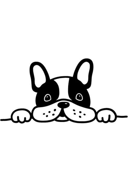 Bagajdan Bakan Bulldog Oto Özel Yeni Sticker Siyah 25 x 15 cm