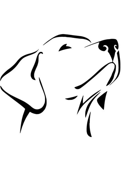 Asil Köpek Oto Özel Yeni Sticker Siyah 30 x 27 cm