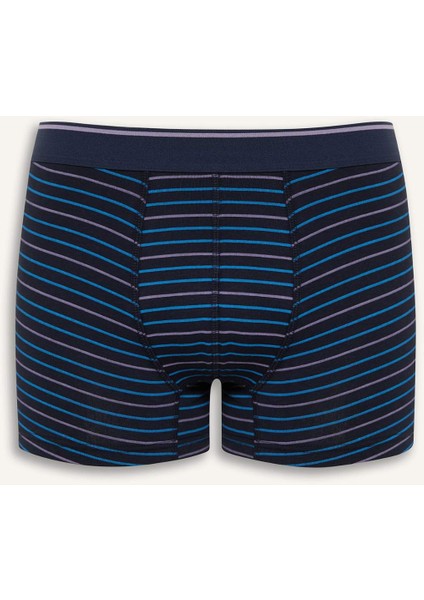 Regular Fit Çizgili 3'lü Boxer D9876AX25SP