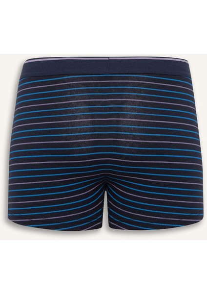 Regular Fit Çizgili 3'lü Boxer D9876AX25SP