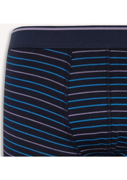 Regular Fit Çizgili 3'lü Boxer D9876AX25SP