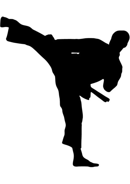 Karate Sporcusu Oto Özel Yeni Sticker Siyah 30 x 33 cm