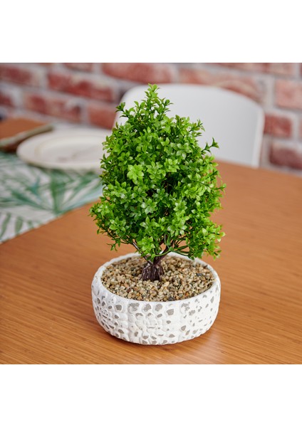 Dekoratif Çakıl Ağaç fırsatları