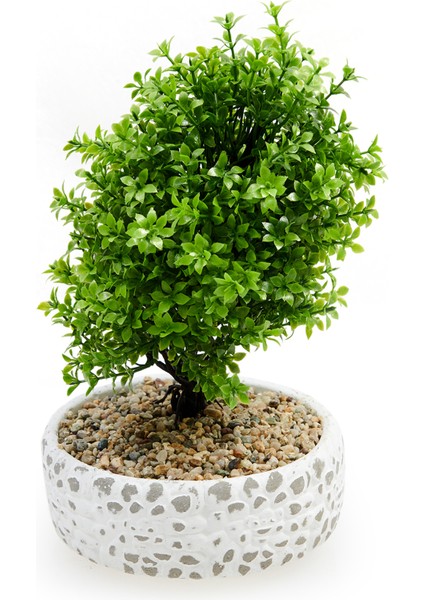 Dekoratif Çakıl Ağaç indirimleri