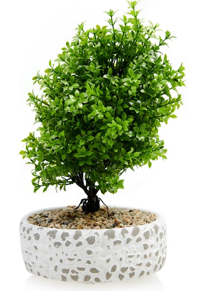 Dekoratif Çakıl Ağaç