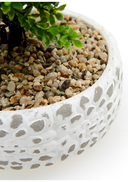 Dekoratif Çakıl Ağaç fiyatları