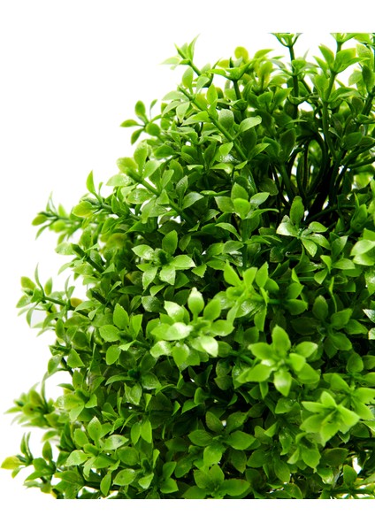 Dekoratif Çakıl Ağaç modelleri