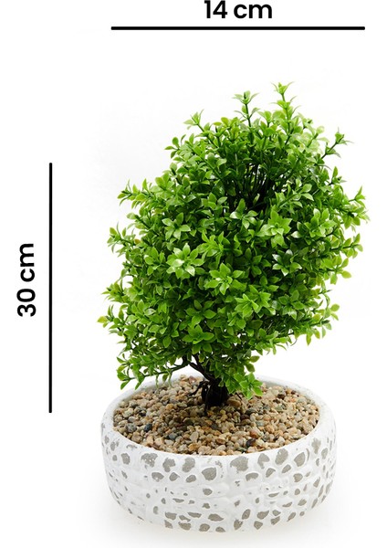 Dekoratif Çakıl Ağaç