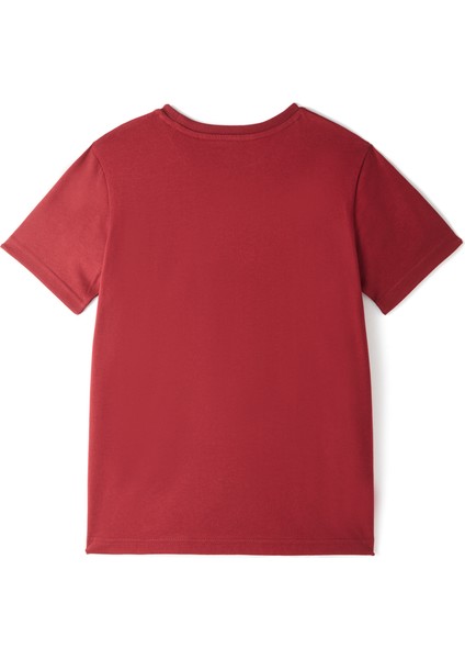 Galatasaray Erkek T-Shirt E251070