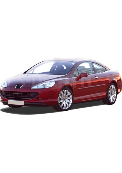 Paspasgaraji Peugeot 407 Krom Kapı Kolu 2 Kapı 2004-2010