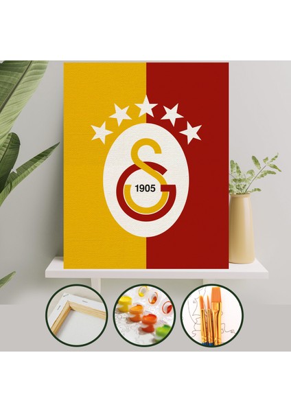 Sayılarla Boyama Tuval Seti Fırça Boya Dahil (Çıtalı) 40X50 cm - Galatasaray Logosu