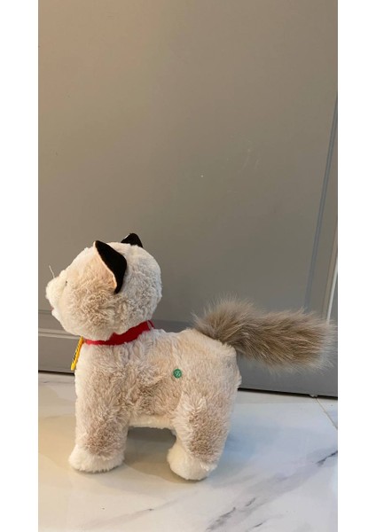 Müzikli Yürüyen Miyavlayan Yalayan Kuyruk ve Başını Sallayan Ses Kaydını Tekrarlayan Peluş Kedi modelleri