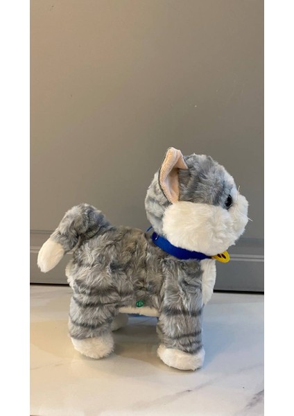 Müzikli Yürüyen Miyavlayan Yalayan Kuyruk ve Başını Sallayan Ses Kaydını Tekrarlayan Peluş Kedi modelleri