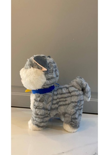 Müzikli Yürüyen Miyavlayan Yalayan Kuyruk ve Başını Sallayan Ses Kaydını Tekrarlayan Peluş Kedi indirimleri