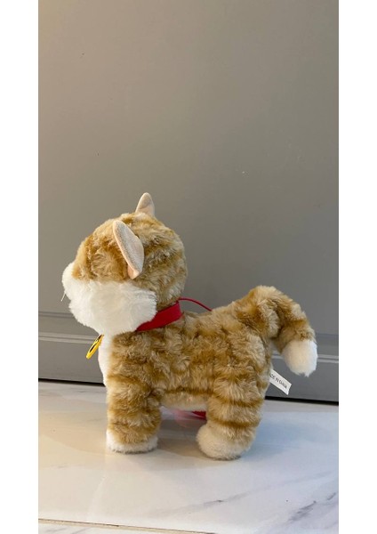 Müzikli peluş kedi Yürüyen Miyavlayan Yalayan Kuyruk ve Başını Sallayan Ses modelleri
