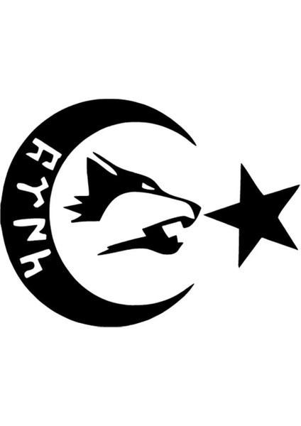 Göktürkçe Ay Yıldız Oto Özel Yeni Sticker Siyah 25 x 20 cm