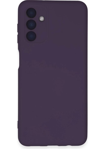 Samsung Galaxy A24 4g Kılıf Nano Içi Kadife Silikon - Mor Ferrg