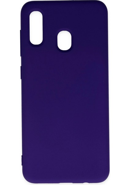 Samsung Galaxy A20 Kılıf Nano Içi Kadife Silikon - Mor Ferrg