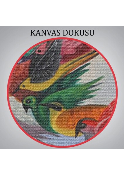 - Renkli Simurg Kuşu Anka Kuşu Kanvas TABLO-5326