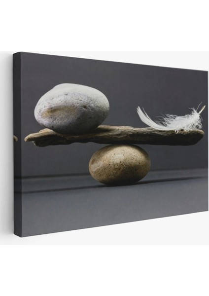 - Taş ve Tüy Dengesi Tuval Duvar Sanatı, Tuval Baskı Ev ​​dekorasyon, Ofis DEKORASYON-5375 fiyatları