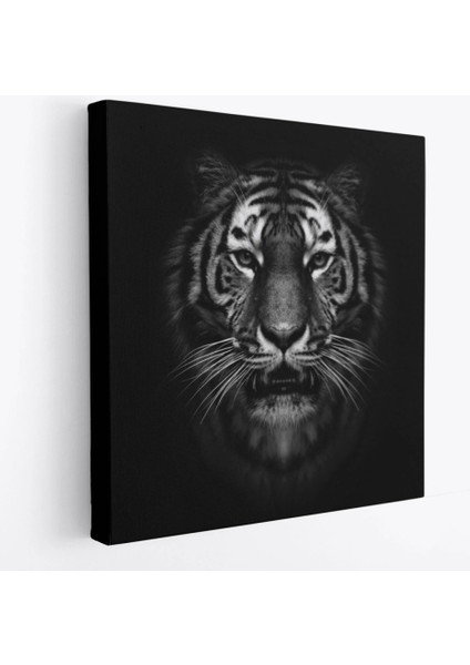 - Kaplan Dekoratif Kanvas TABLO-5808 fiyatları