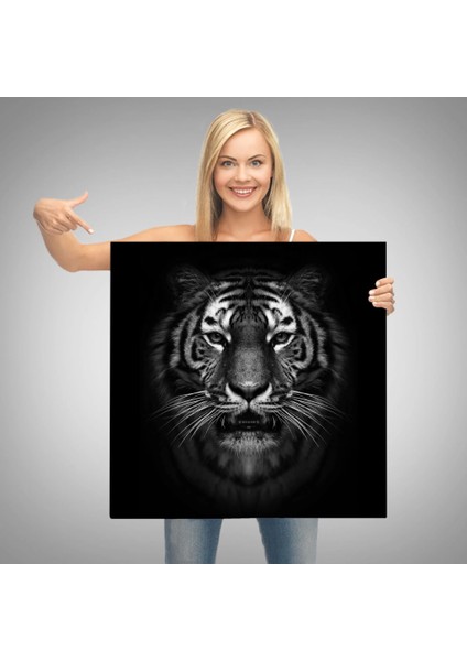 - Kaplan Dekoratif Kanvas TABLO-5808 modelleri