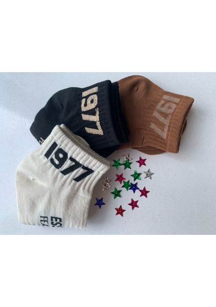 3'lü 1977 Desenli Çorap fiyatları