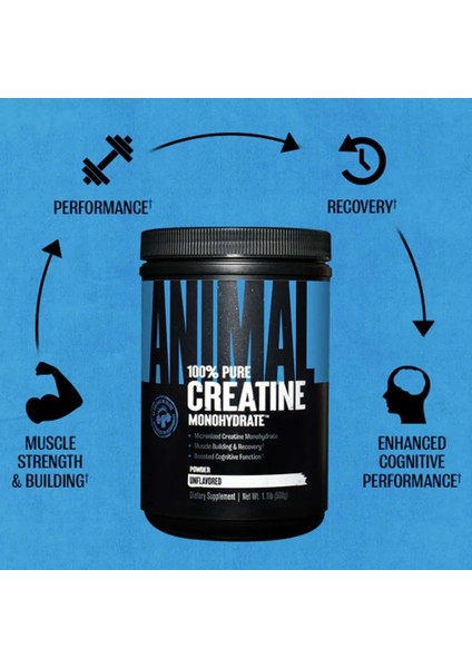 Creatine Monohydrate Monohidrat 500 gr - 100 Servis