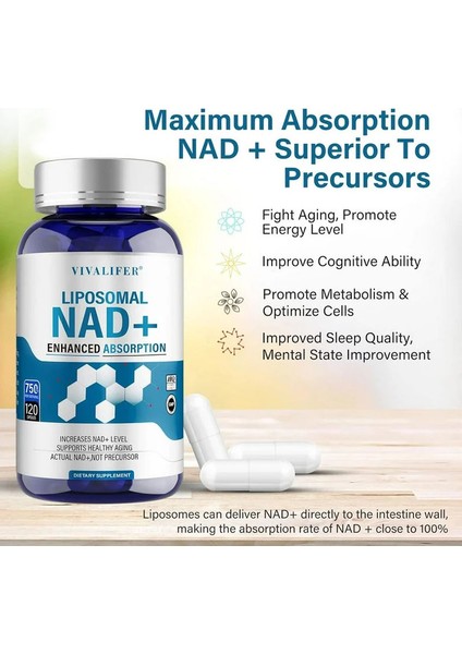 Liposomal Nad+ 500mg With Trimethylglycine Tmg 250 Mg Anti Aging Repair Brain 120 Caps modelleri