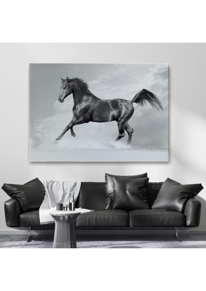 - Siyah At TABLOSU-6623