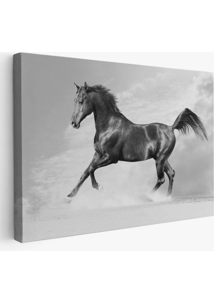 - Siyah At TABLOSU-6623 fiyatları