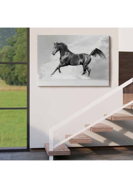 - Siyah At TABLOSU-6623 indirimleri