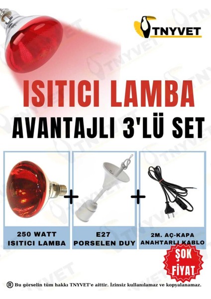 Isıtıcı Lamba 250 Watt + E27 Seramik Duy+2m Fişli Kablo Avantajlı Set
