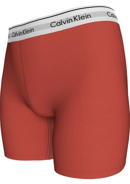 Calvın Kleın Boxer Brıef Külot