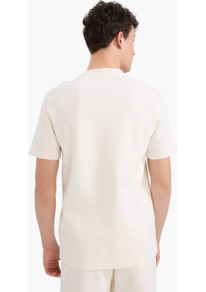 Regular Fit Bisiklet Yaka Kısa Kollu Pamuklu Ağır Kumaş Tişört E2587AX25SM