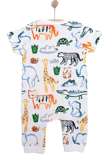 Patiksiz Tulum fiyatları