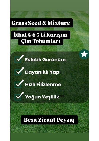 Çok Yıllık Çim Tohumu 5 kg Uzun Ömürlü 7'lı Karışım Gölge ve Aşırı Güneşli Alan Uygun 4 Mevsim Yeşi fiyatları