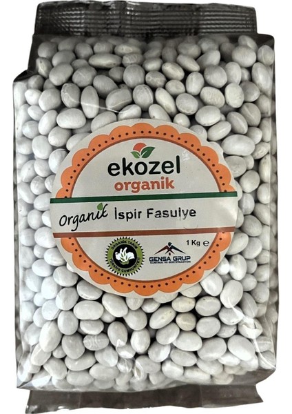 Organik Ispir Fasulyesi