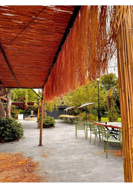 Hasır Püskül Otu Saçaklı Ot 1,20 Metre x 75 cm