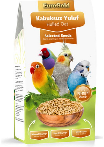 Yulaf Tohumu 150 gr Ynsmr