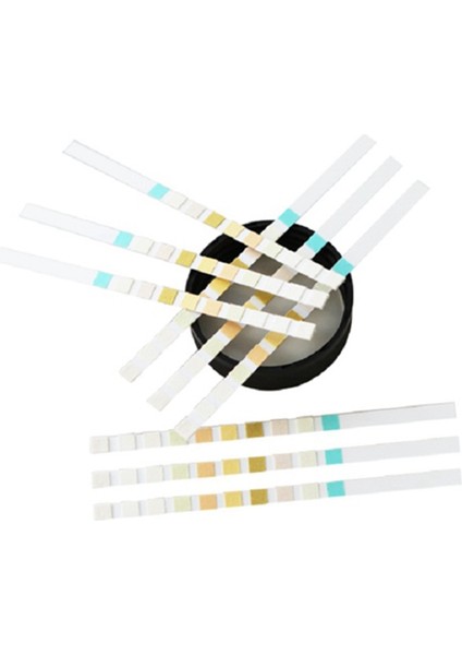 100 Şerit URS-10T Idrar Tahlili Reaktif Şeritleri 10 Parametre Idrar Test Şeridi (Yurt Dışından) fiyatları