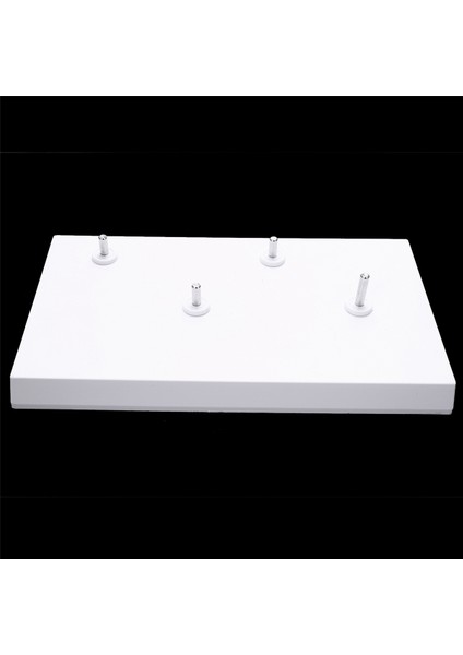 Insan Anatomisi 4- Lomber Vertebral Model Öğretim Malzemeleri (Yurt Dışından)