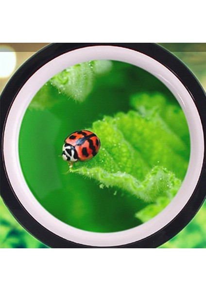 Büyüteç Gl 20X, Kitap Okumak Için Işıklı Büyük Büyüteç (Yurt Dışından) fırsatları