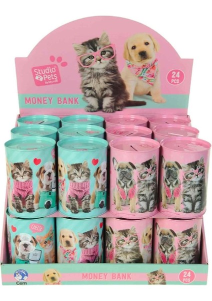 Dolphın Studıo Pets PT-6258 Kumbara