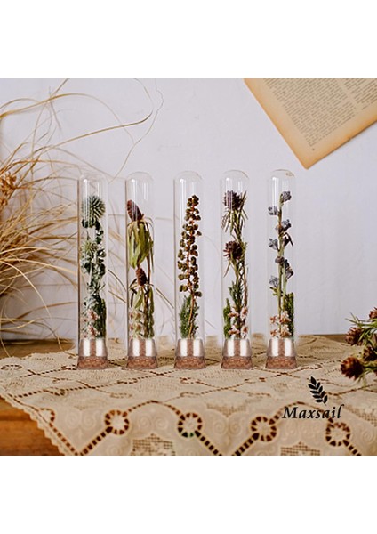 Lı Test Tüpü 30 Adet Çiçekler Için Test Tüpleri Plastik 20ML Kraft Kağıt Eklentili Test Tüpleri (150X16MM) (Yurt Dışından) fiyatları