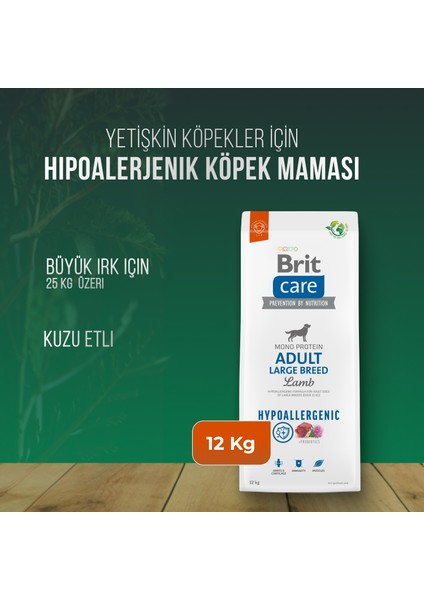 Kuzu Etli Hypoallergenic Büyük Irk Köpek Maması 12 kg
