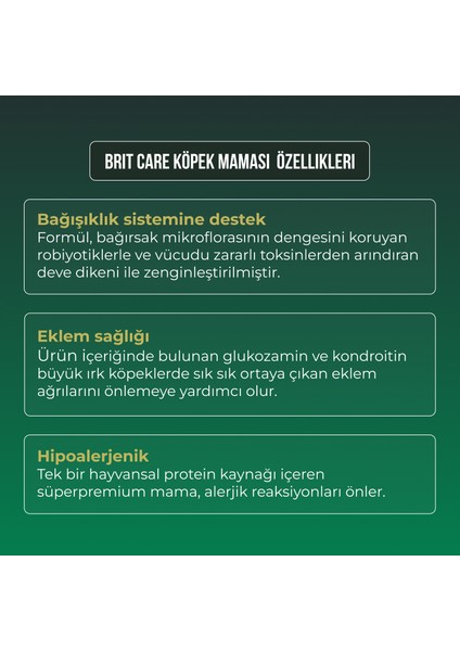 Kuzu Etli Hypoallergenic Büyük Irk Köpek Maması 12 kg