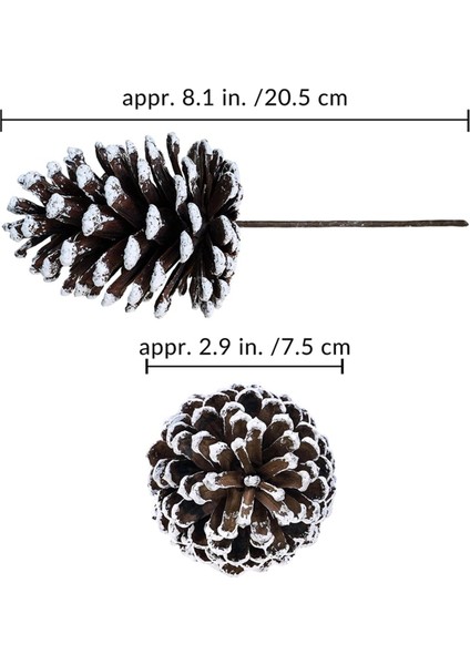 12 Adet Doğal Çam Kozalağı Seçtikleri Noel Çam Kozalağı Spreyleri Orta Çam Kozalakları Seçtikleri Kablolu Sapları ile 8.3 Inç Uzun Noel Için, B (Yurt Dışından) fiyatları